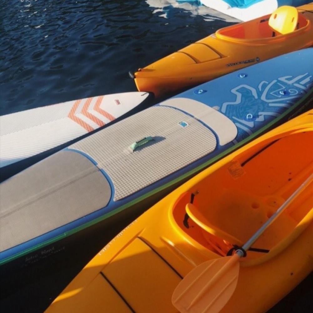 Meet your Posher, Sophia